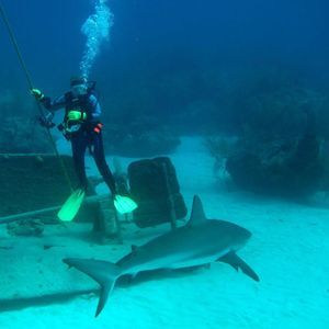 Meet your Posher, Cassandra